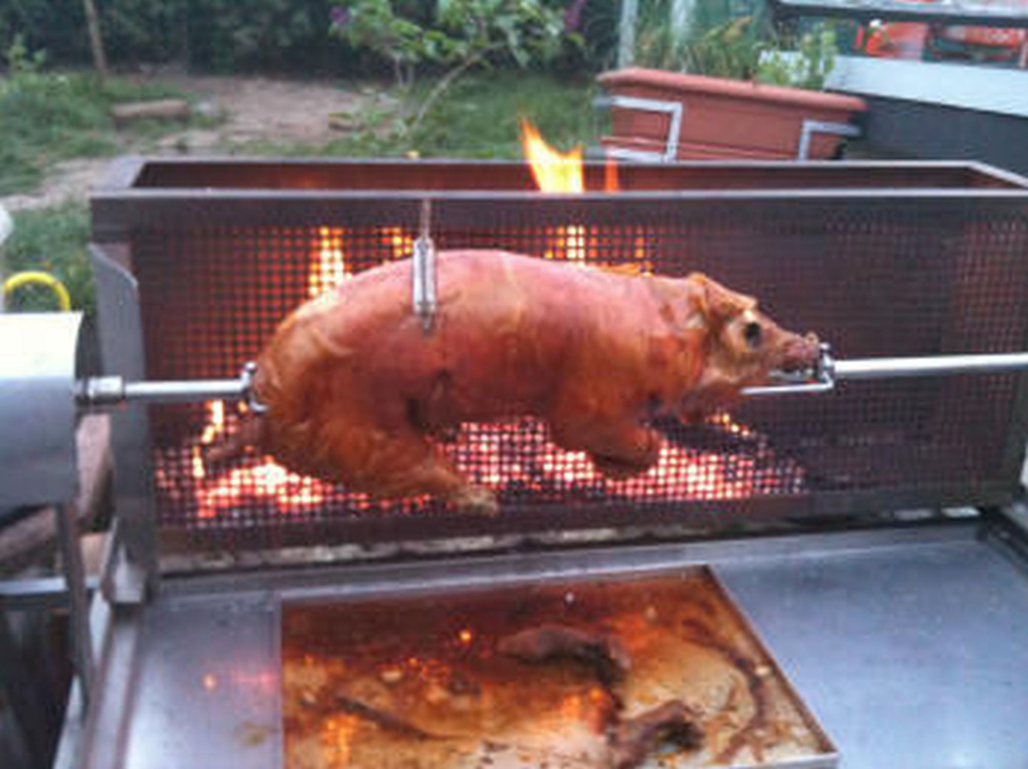 Grillbild 4